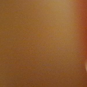 Baqsimi Glucagon Nasal Powder Spray NEW in Box 2 pack exp 3/2025